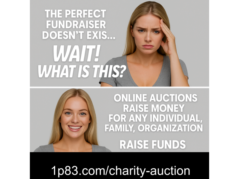 need-to-raise-money-create-your-own-online-auction-today-small-0