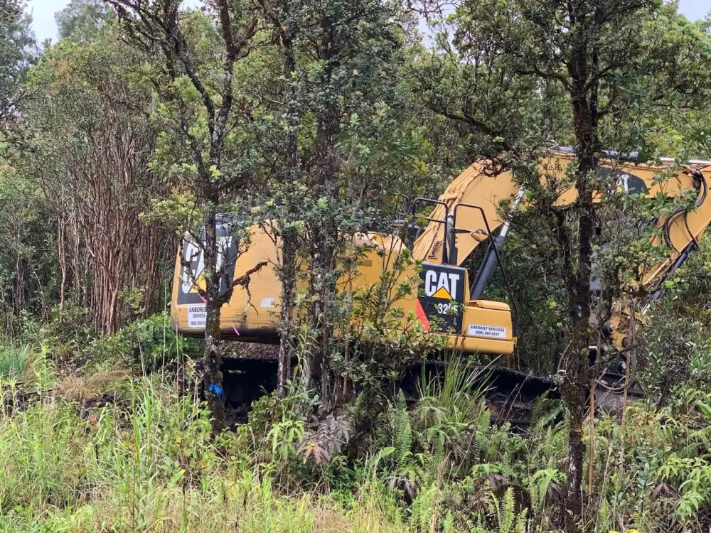trusted-forest-mowing-services-for-property-maintenance-arborist-services-big-0