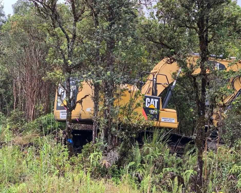 trusted-forest-mowing-services-for-property-maintenance-arborist-services