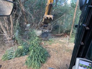 reliable-big-island-tree-service-for-safe-tree-care-arborist-services-small-0
