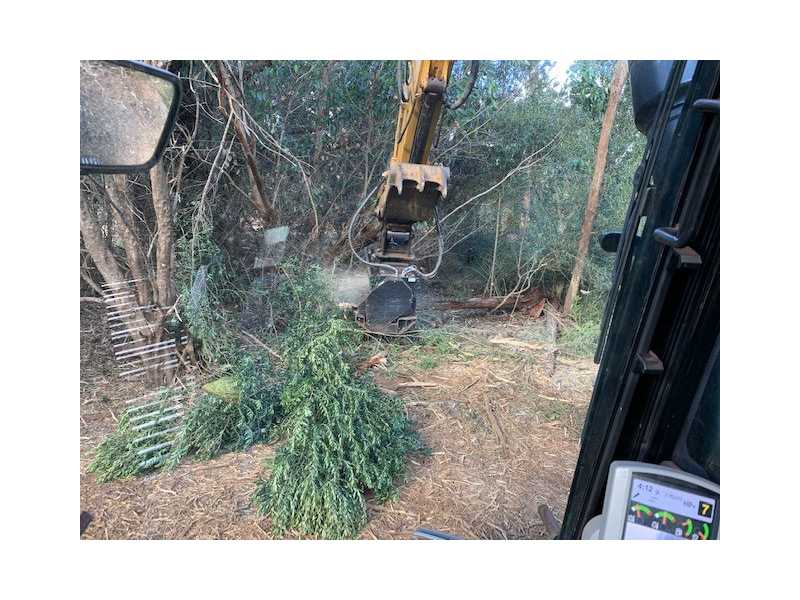 reliable-big-island-tree-service-for-safe-tree-care-arborist-services-small-0