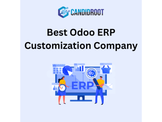 best-odoo-erp-customization-company-small-0