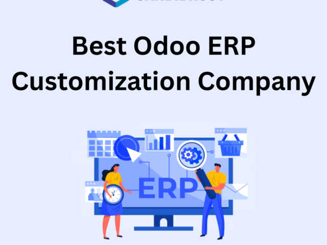 best-odoo-erp-customization-company