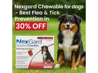 nexgard-chewable-for-dogs-best-flea-tick-prevention-in-30-off-small-0