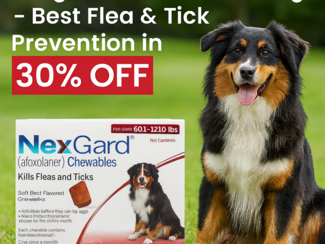 nexgard-chewable-for-dogs-best-flea-tick-prevention-in-30-off