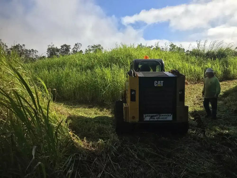 professional-hawaii-land-clearing-solutions-for-any-terrain-arborist-services-big-0