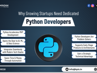 why-growing-startups-need-dedicated-python-developers-small-2