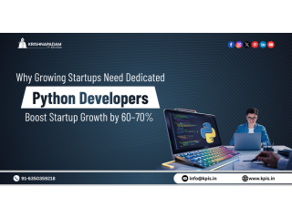 why-growing-startups-need-dedicated-python-developers-small-0