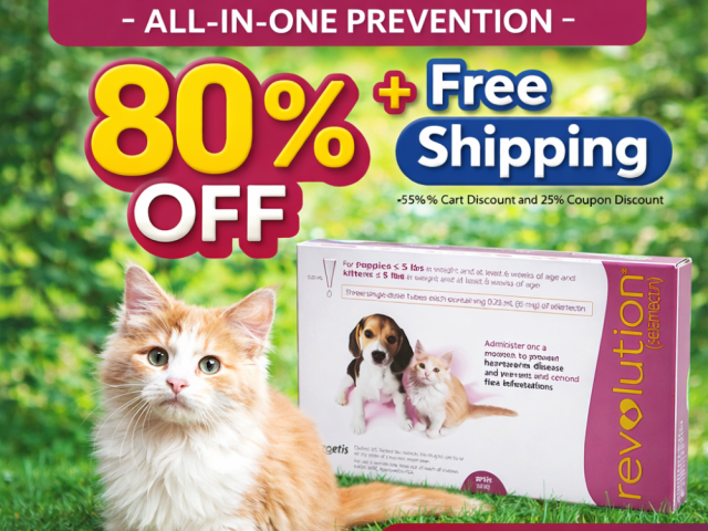 revolution-for-cats-all-in-one-prevention-80-off-free-shipping