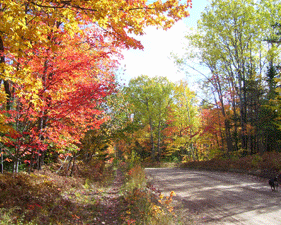 escape-the-ordinary-in-paradise-michigan-exploring-the-north