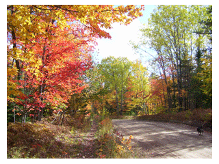 escape-the-ordinary-in-paradise-michigan-exploring-the-north-small-0