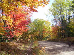 escape-the-ordinary-in-paradise-michigan-exploring-the-north