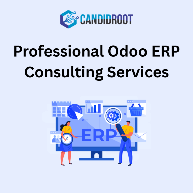 professional-odoo-erp-consulting-services-big-0