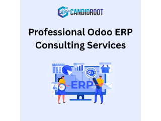 professional-odoo-erp-consulting-services-small-0