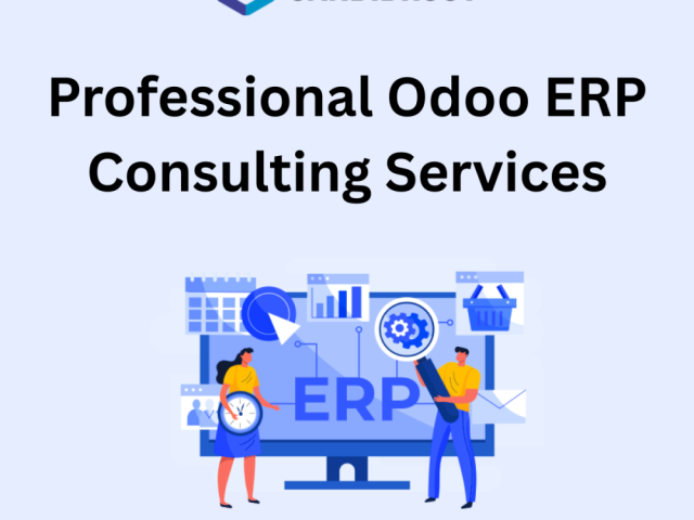 professional-odoo-erp-consulting-services