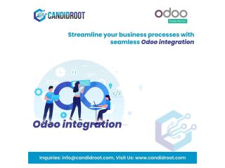 best-odoo-erp-integration-services-small-0