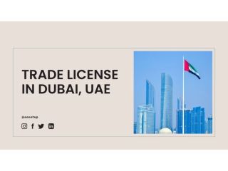 trade-license-dubai-a-complete-guide-small-0