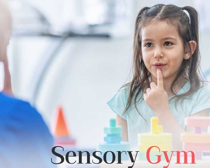 sensory-gym-play-based-therapy-for-strength-focus-and-growth