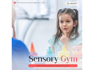 sensory-gym-play-based-therapy-for-strength-focus-and-growth-small-0
