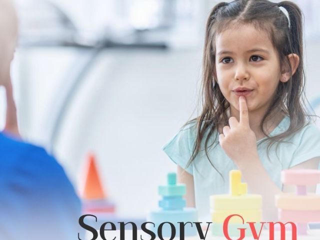 sensory-gym-play-based-therapy-for-strength-focus-and-growth