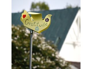 discover-a-transformative-learning-experience-at-ssfs-small-0