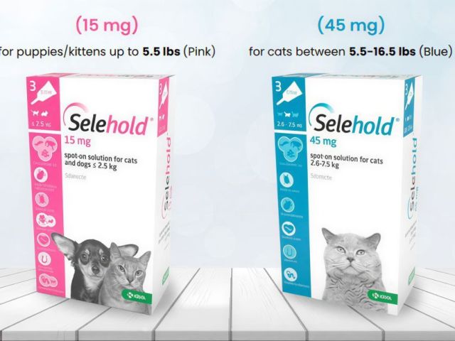 selehold-generic-revolution-for-cats-all-in-one-parasite-protection