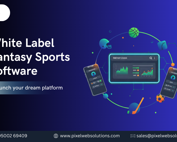 white-label-fantasy-sports-software-for-fast-app-launch-in-the-usa