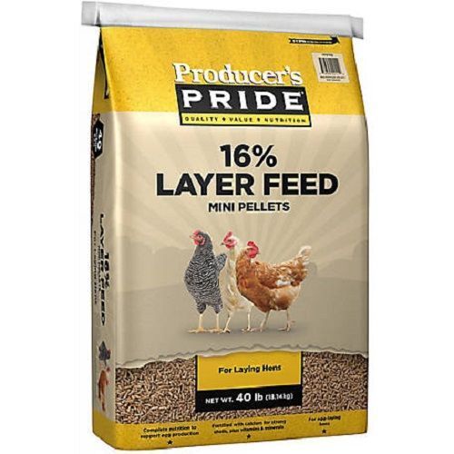 chicken-feed-for-sale-big-0