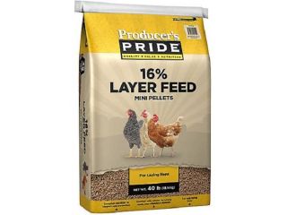 chicken-feed-for-sale-small-0