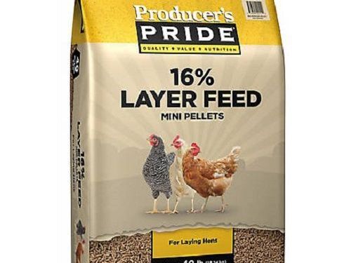chicken-feed-for-sale