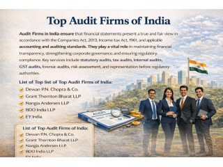 audit-firms-in-india-small-0