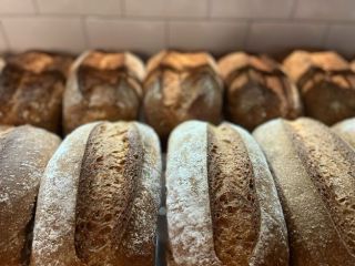 vegan-bakery-delights-made-fresh-daily-small-0