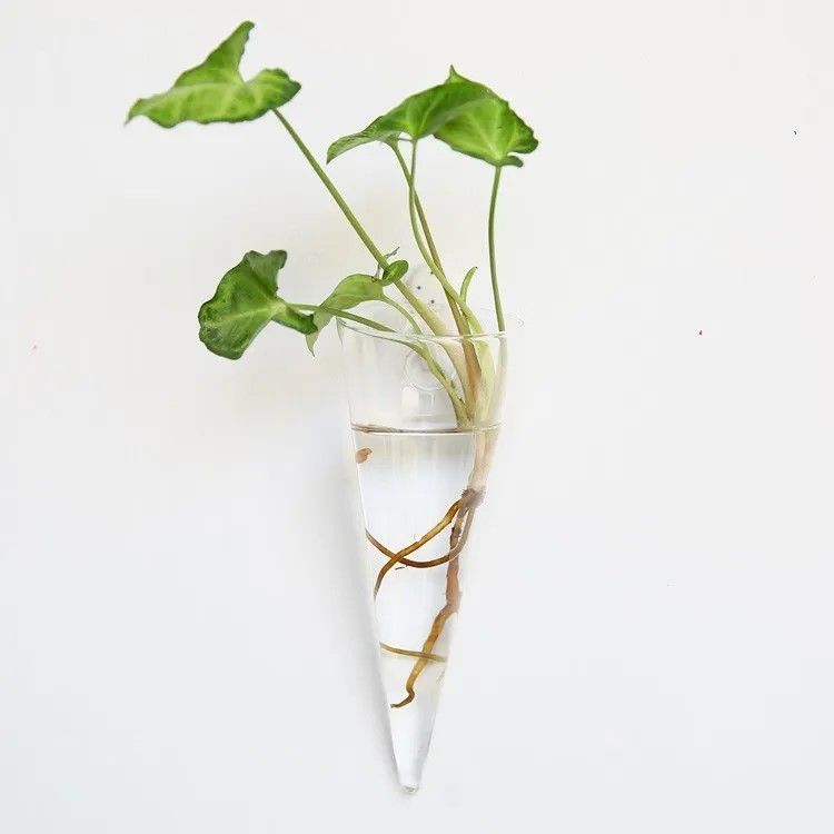 wall-hanging-glass-vase-terrarium-planter-decor-big-1