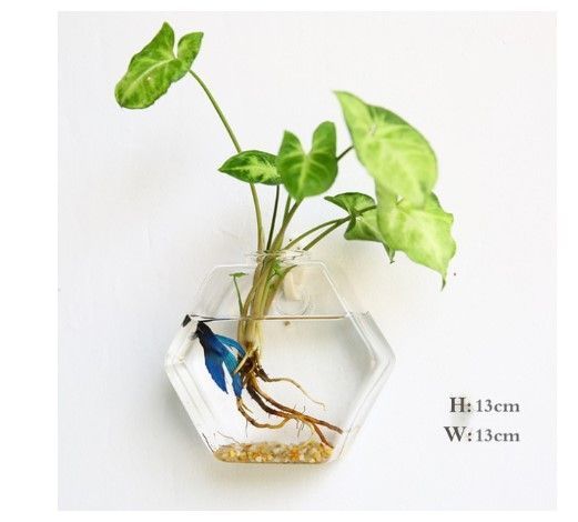 wall-hanging-glass-vase-terrarium-planter-decor-big-2