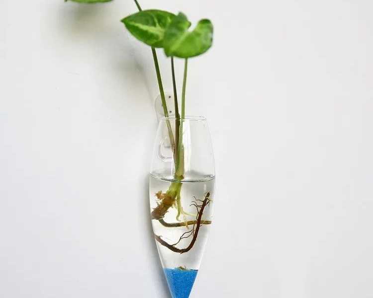 wall-hanging-glass-vase-terrarium-planter-decor