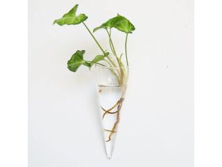 wall-hanging-glass-vase-terrarium-planter-decor-small-1