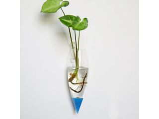 wall-hanging-glass-vase-terrarium-planter-decor-small-0