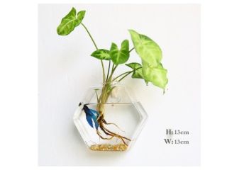 wall-hanging-glass-vase-terrarium-planter-decor-small-2