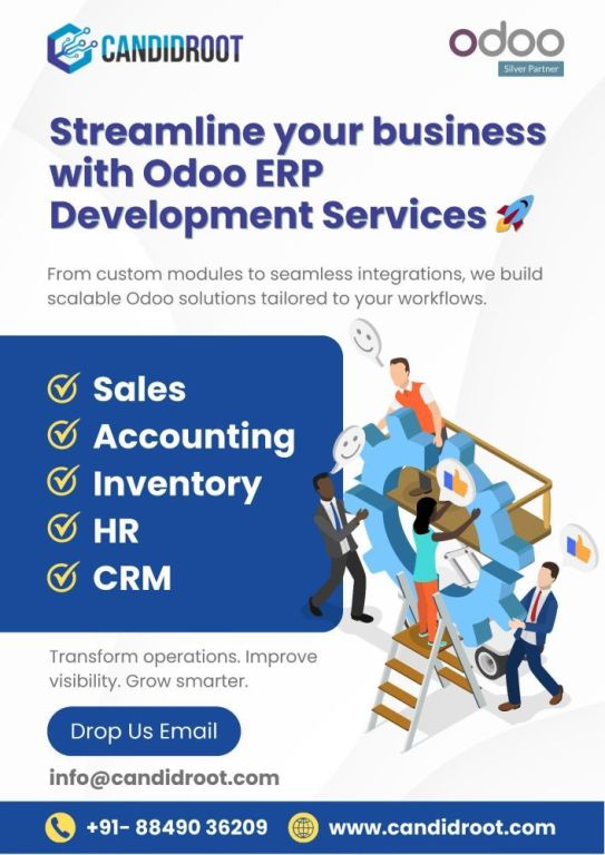 expert-odoo-erp-development-services-big-0