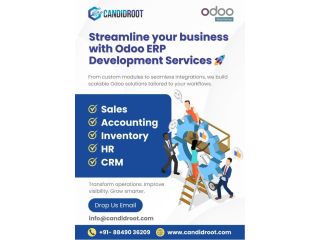 expert-odoo-erp-development-services-small-0