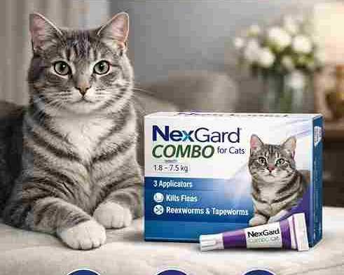 nexgard-combo-for-cat-monthly-flea-tick-protection-chews