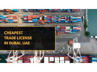 what-is-the-cheapest-trade-license-in-uae-small-0