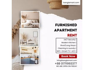 luxury-two-room-furnished-serviced-apartment-for-rent-small-0