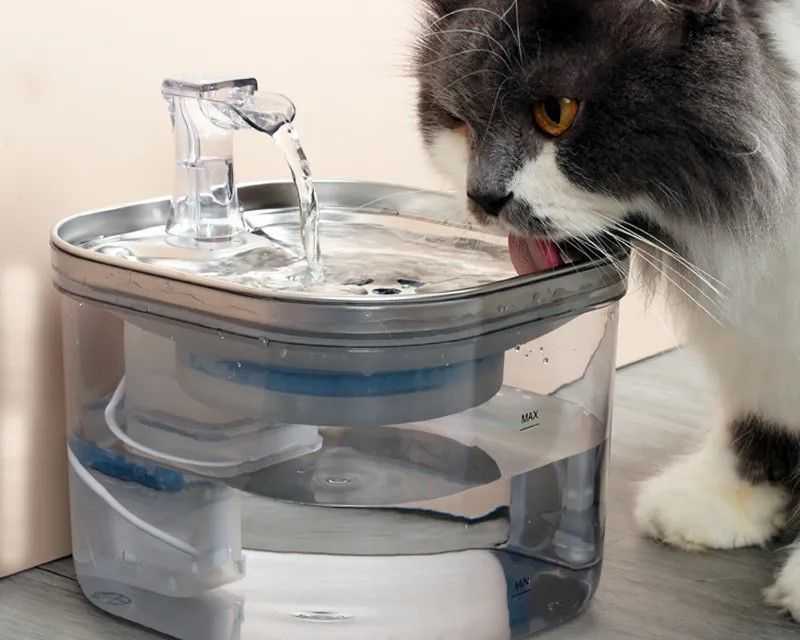 stainless-steel-automatic-pet-water-fountain