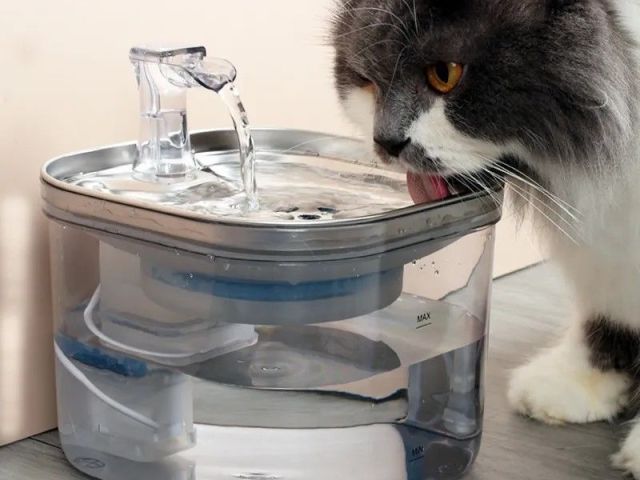 stainless-steel-automatic-pet-water-fountain