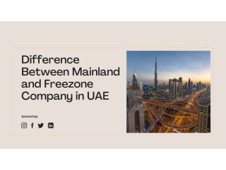 mainland-and-free-zone-companies-in-dubai-a-guide-small-0