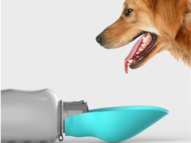 800ml-portable-dog-water-bottle-leakproof-foldable-bowl