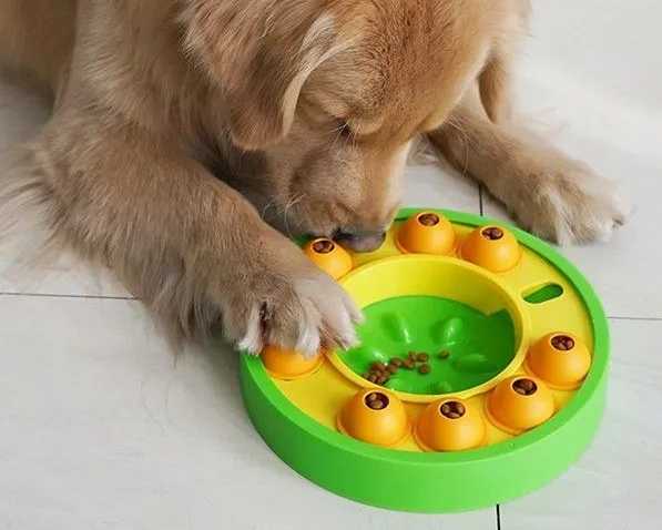 dog-puzzle-slow-feeder-interactive-iq-training-toy