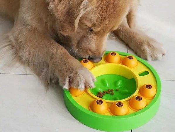 dog-puzzle-slow-feeder-interactive-iq-training-toy