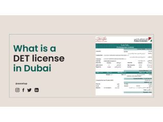 what-is-a-det-license-in-dubai-small-0